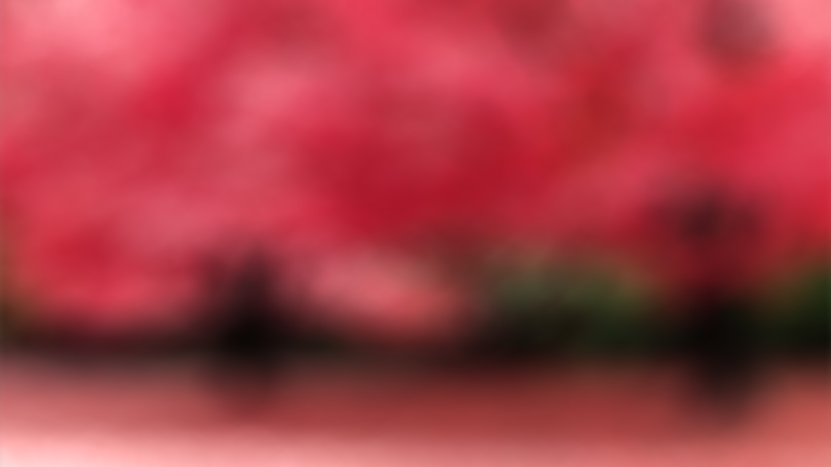 Slide background